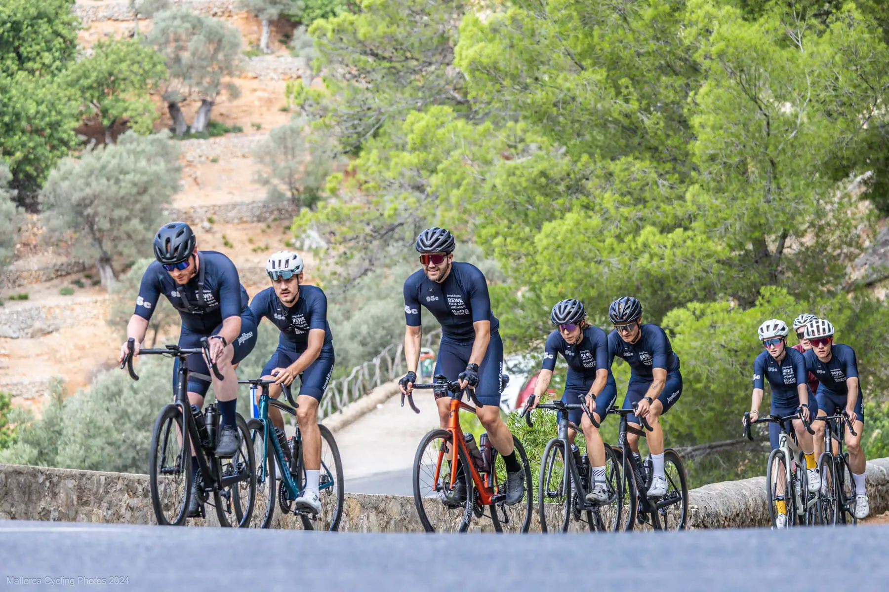 95c-mallorca2024-11