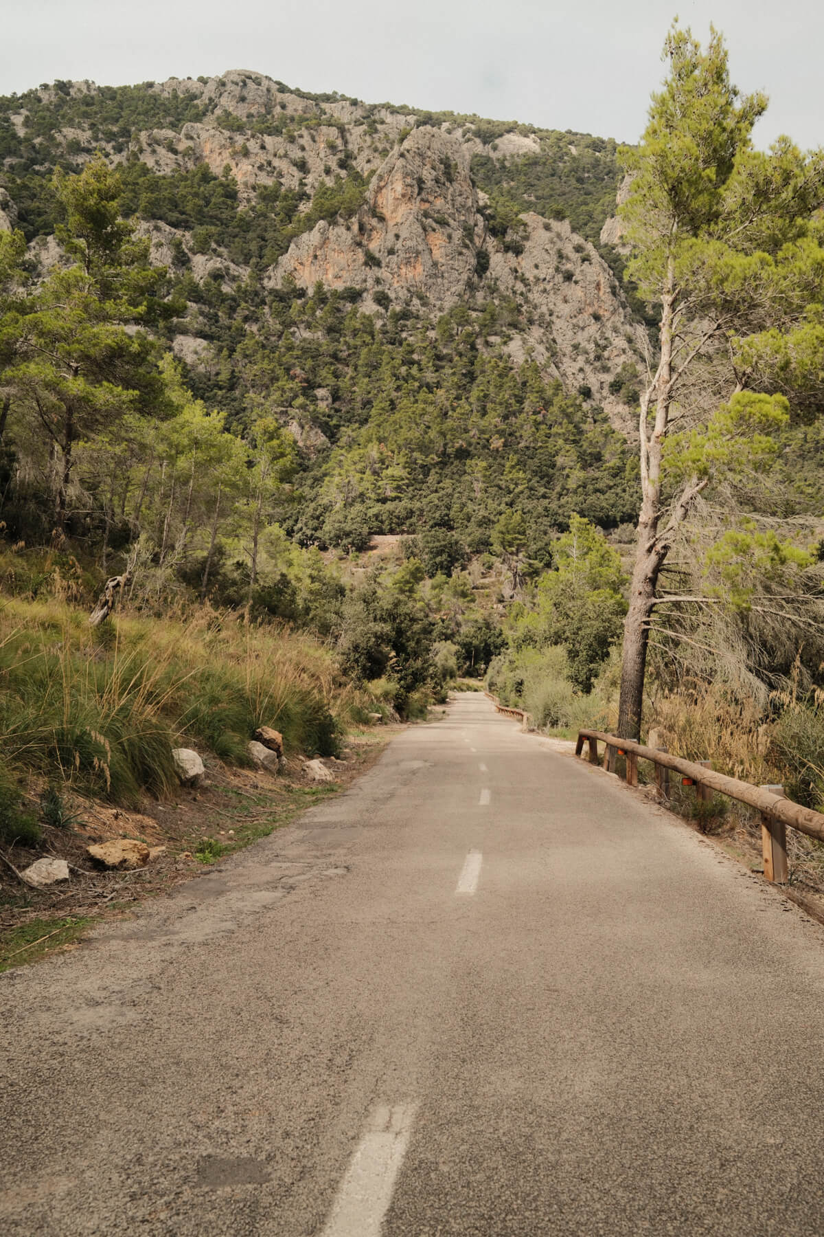 95c-mallorca2024-311
