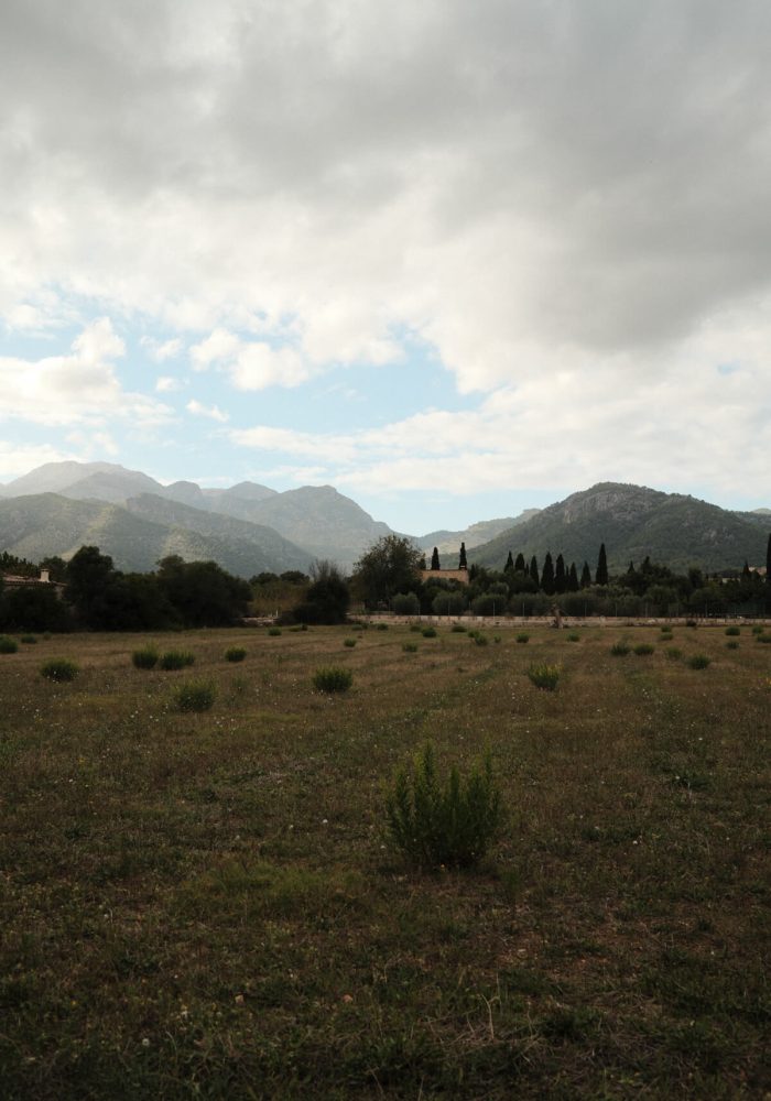 Landschaft auf Mallorca